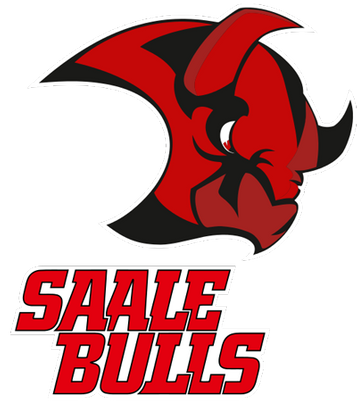 Saale Bulls